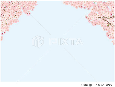 桜 ソメイヨシノ シンプル 背景 イラストのイラスト素材 4215