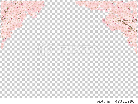 桜 ソメイヨシノ シンプル 背景 イラストのイラスト素材 4216