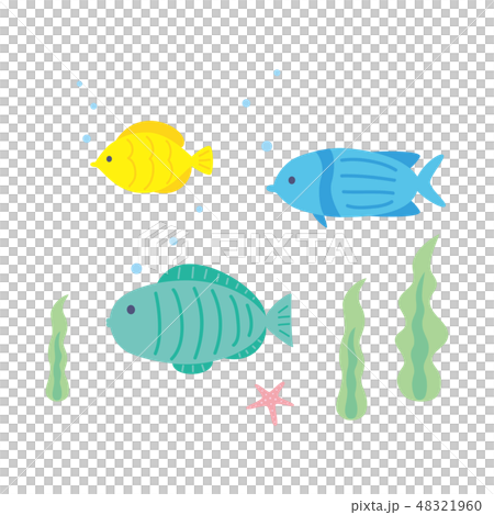 切割 - 夏季材料26 切割 - 夏季材料26 48321960