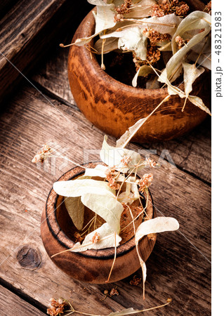 Dried linden flowers 48321983