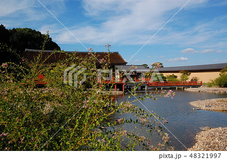 東院庭園 東院庭園 48321997