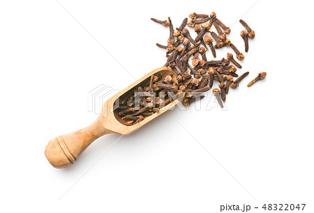 Carnation, dried clove spice. Carnation, dried clove spice. 48322047