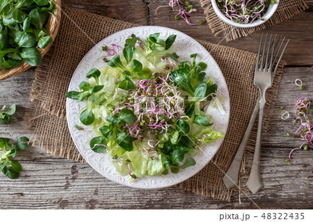 Salad with lamb's lettuce and fresh radish sprouts 48322435