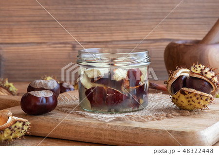Preparation of tincture from fresh horse chestnuts 48322448