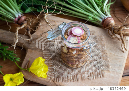 Preparation of tincture from evening primrose root Preparation of tincture from evening primrose root 48322469