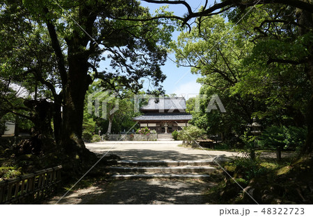 観世音寺 太宰府市 観世音寺 太宰府市 48322723