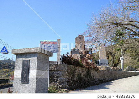 閉校した陽成小学校 閉校した陽成小学校 48323270