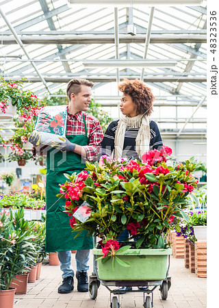 Cheerful worker talking with a beautiful customer in a modern flower shop Cheerful worker talking with a beautiful customer in a modern flower shop 48323536
