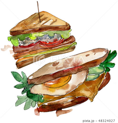 Sandwich in a watercolor style isolated set. Watercolour fast food illustration element on white 48324027