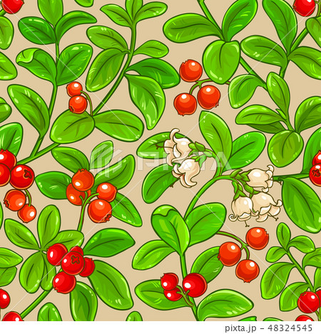 lingonberry vector pattern lingonberry vector pattern 48324545