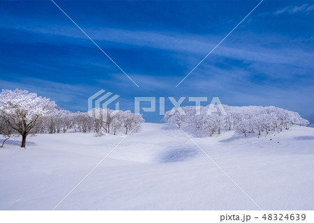 霧氷樹氷　鈴鹿 48324639