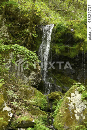 たまだれの滝 たまだれの滝 48326737