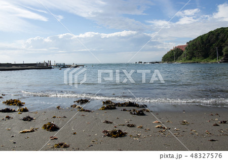 三浦半島のカメハメハ大王の渚 48327576