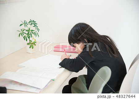 勉強をする小学生の女の子 48327644