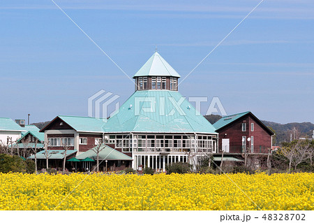 道の駅とみうら枇杷倶楽部 道の駅とみうら枇杷倶楽部 48328702