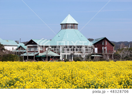 道の駅とみうら枇杷倶楽部 48328706