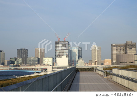 豊洲市場屋上緑化広場からの風景　 48329337