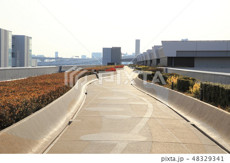 豊洲市場屋上緑化広場からの風景　 48329341