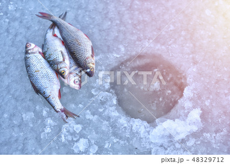 Ice hole fishing. Winter fishing Ice hole fishing. Winter fishing 48329712