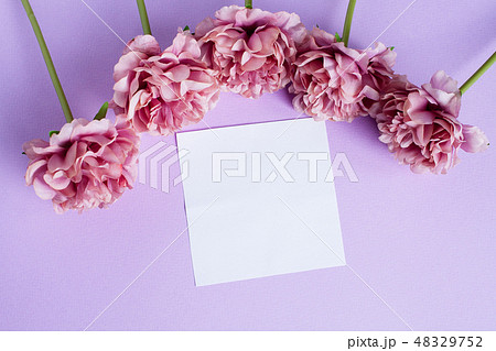 white paper sheet and peony flowers 48329752