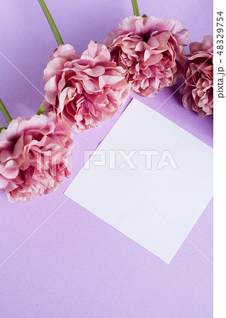 white paper sheet and peony flowers 48329754