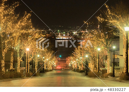 函館の八幡坂 48330227