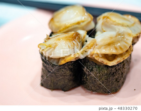Nigiri Sushi set on dish Nigiri Sushi set on dish 48330270