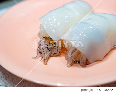 Nigiri Sushi set on dish Nigiri Sushi set on dish 48330272