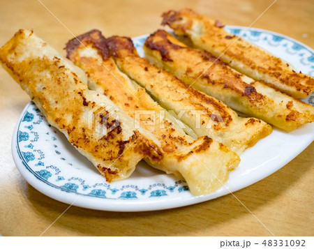 Pan Fried dumpling 48331092
