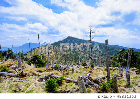 弥山から八経ヶ岳 弥山から八経ヶ岳 48331353