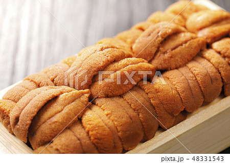 うに うに 48331543