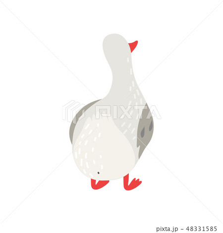 Cute White Goose Cartoon Character Back View Vector Illustration 48331585