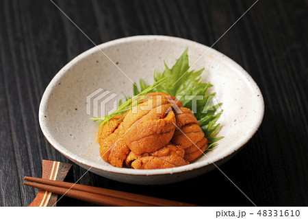 ウニ 48331610