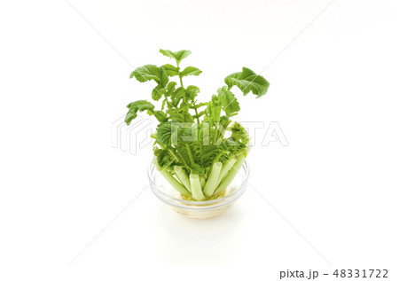 リボベジ 48331722