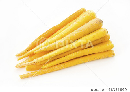 島にんじん 島にんじん 48331890