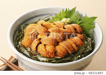 ウニ丼 ウニ丼 48331897