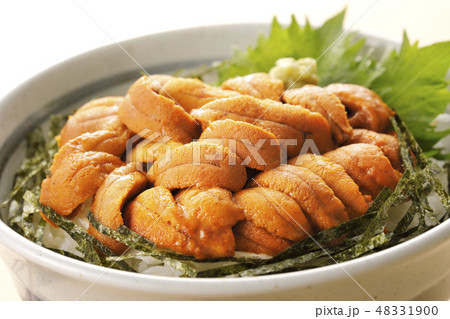 ウニ丼 ウニ丼 48331900