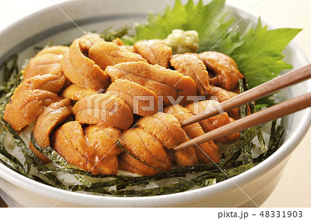 ウニ丼 ウニ丼 48331903