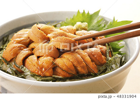 ウニ丼 ウニ丼 48331904