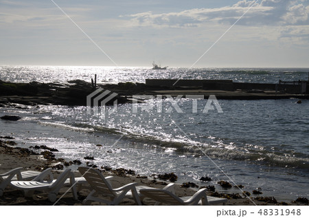 三浦半島のカメハメハ大王の渚 48331948