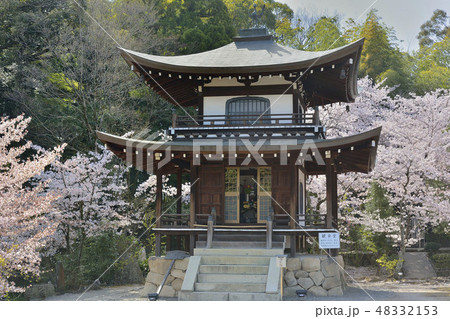 勧修寺 観音堂 桜 京都 山科の写真素材