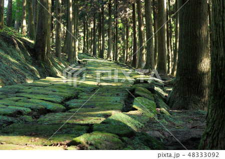 龍門司坂 48333092