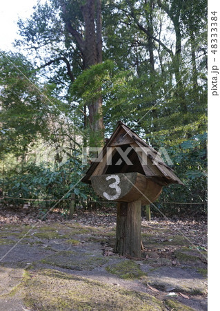 スタンプラリー 48333384