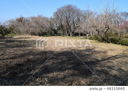 高月城本丸跡 高月城本丸跡 48333660