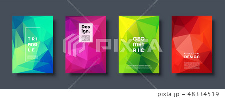 Triangle polygonal abstract background. Colorful gradient design. Low poly shape banner. Vector 48334519