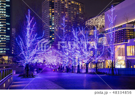 マークイズ前のライトアップ 48334856