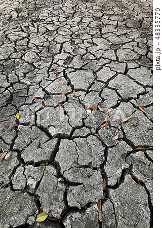 dry cracked soil in drought landscape background dry cracked soil in drought landscape background 48335770