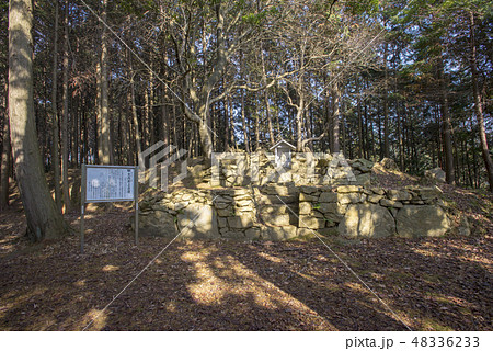 大内氷上古墳 48336233