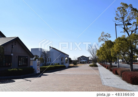 群馬県 板倉ニュータウンの街並み 48336630