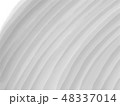 年輪 48337014